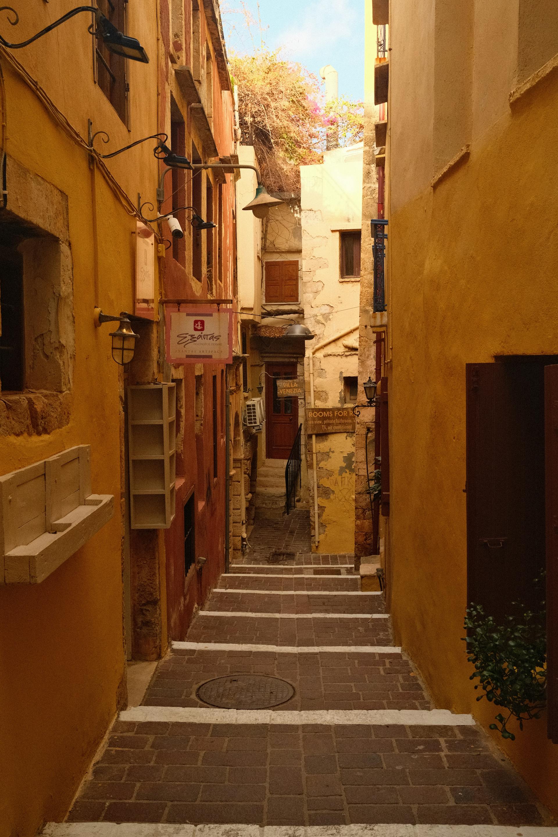 Galeria