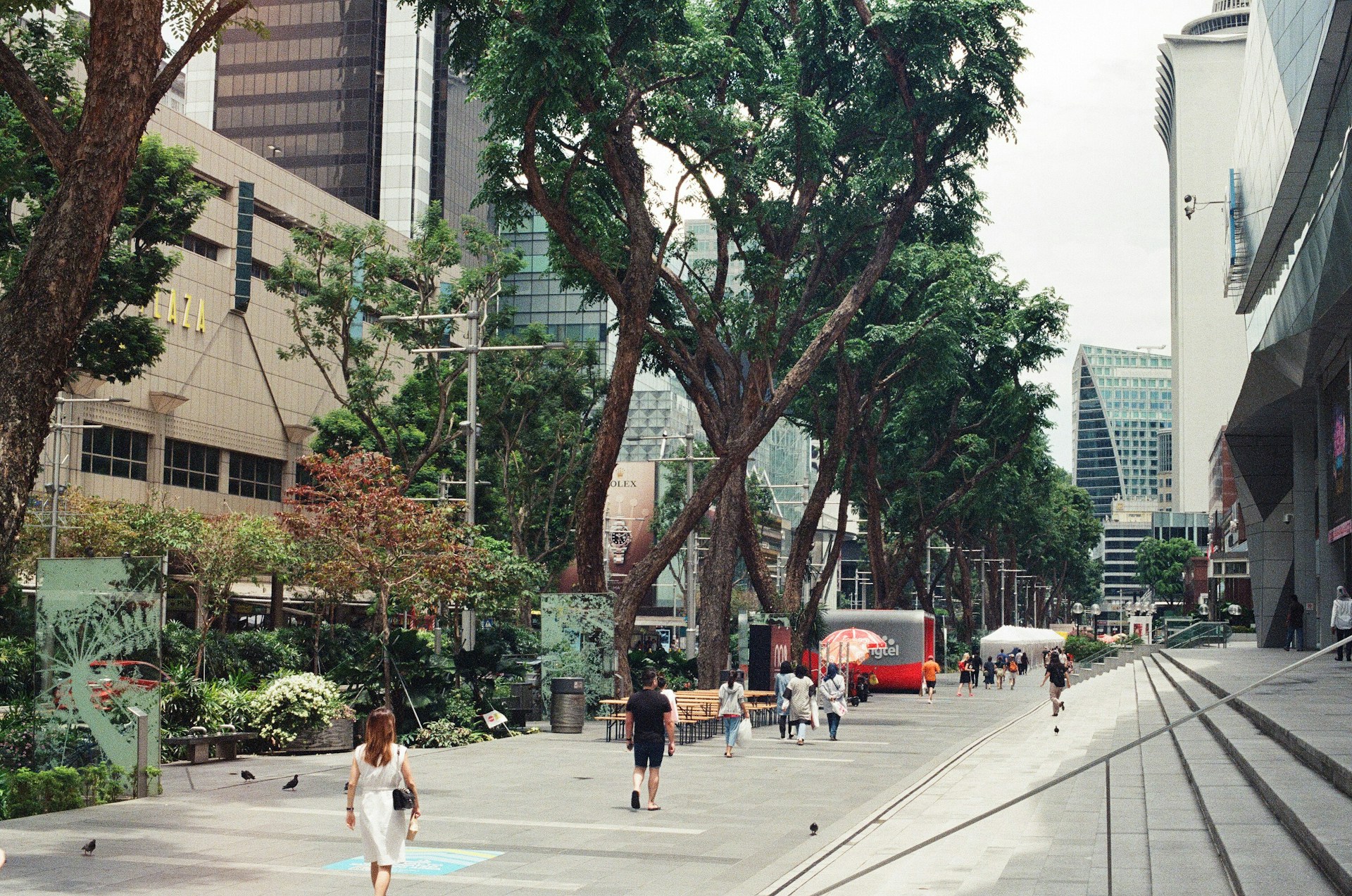 Galeria