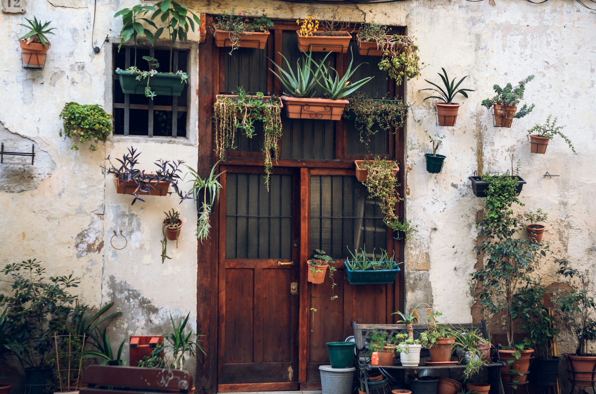Galeria
