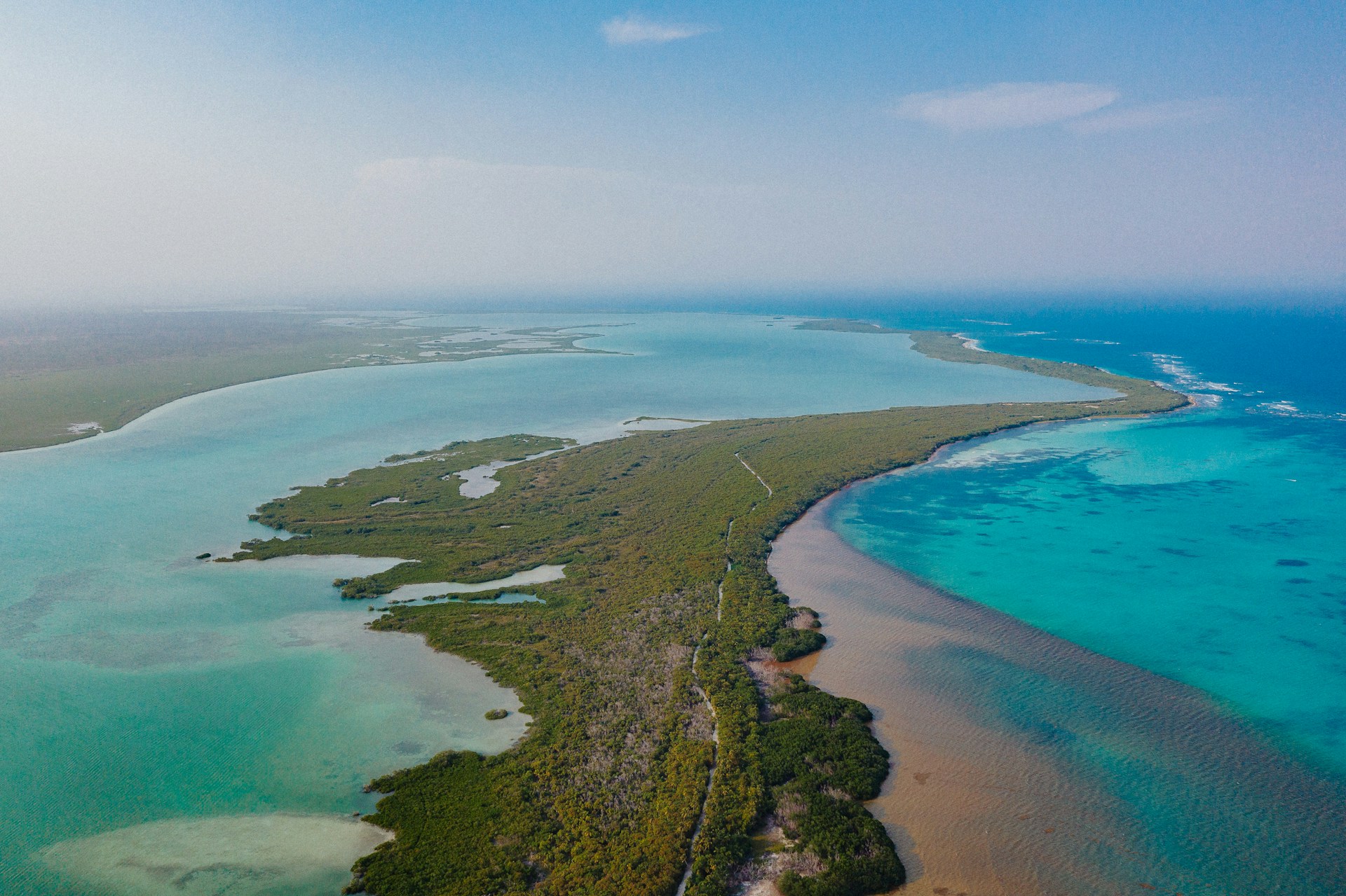 Bacalar