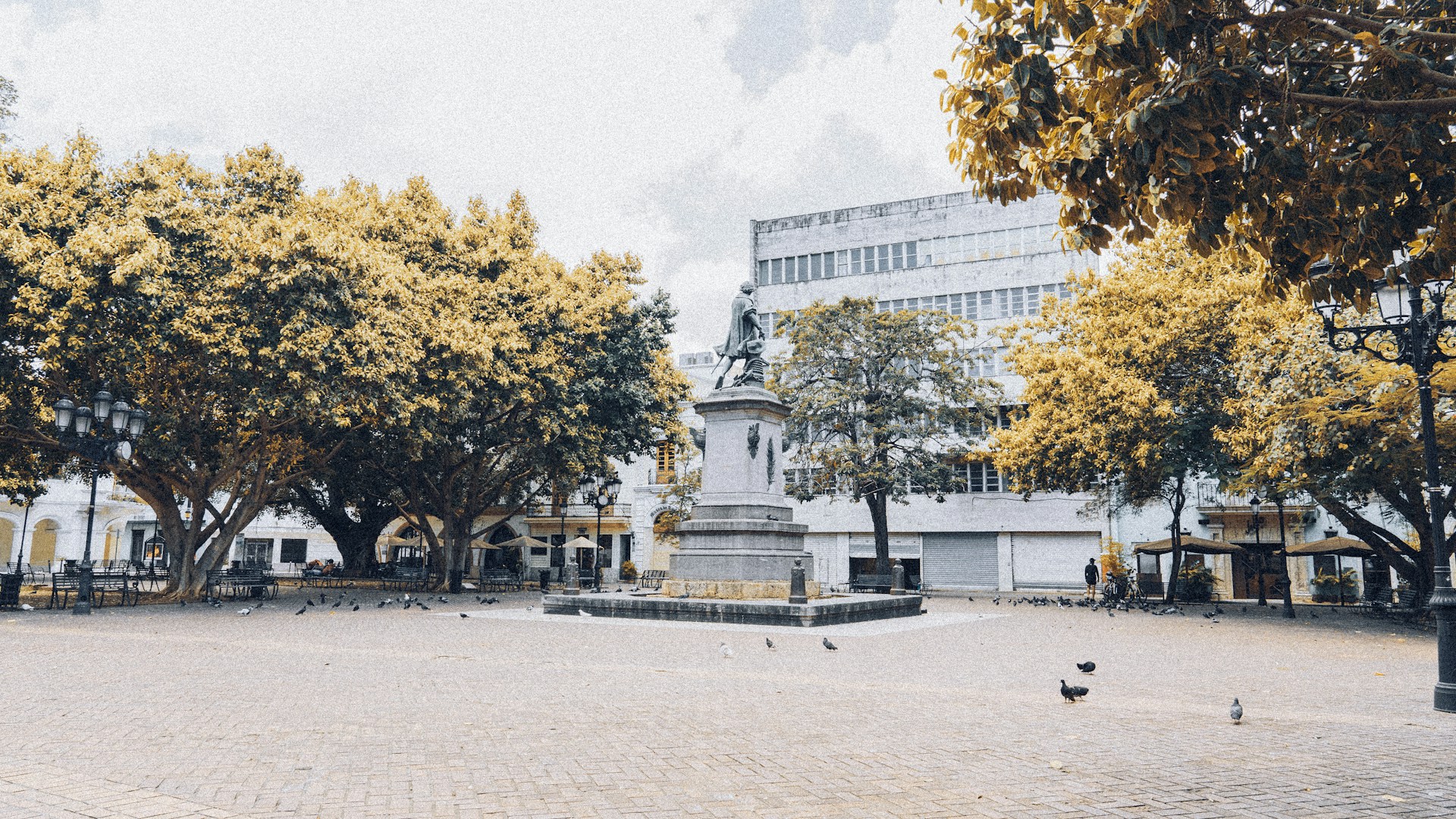 Galeria